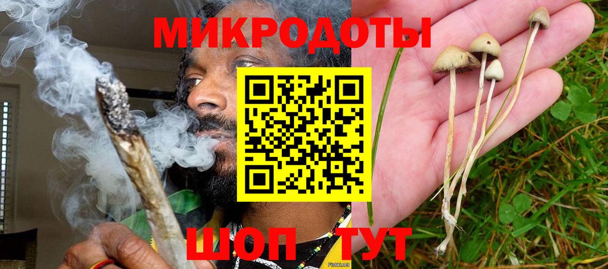 Галлюциногенные грибы ЛСД  Вход с VPN  Дивногорск 